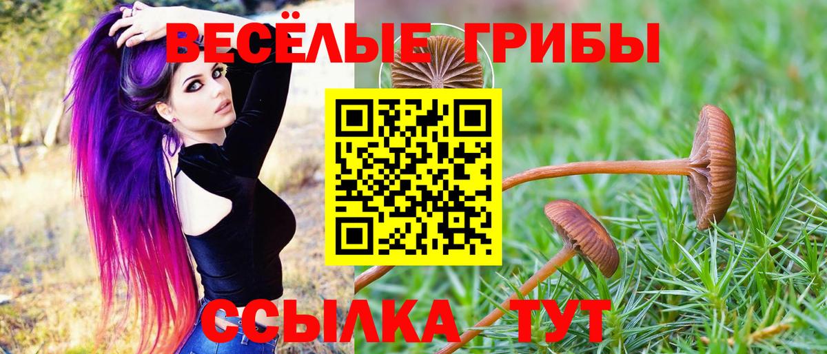 Псилоцибиновые грибы ЛСД  Вход с VPN  Котовск 