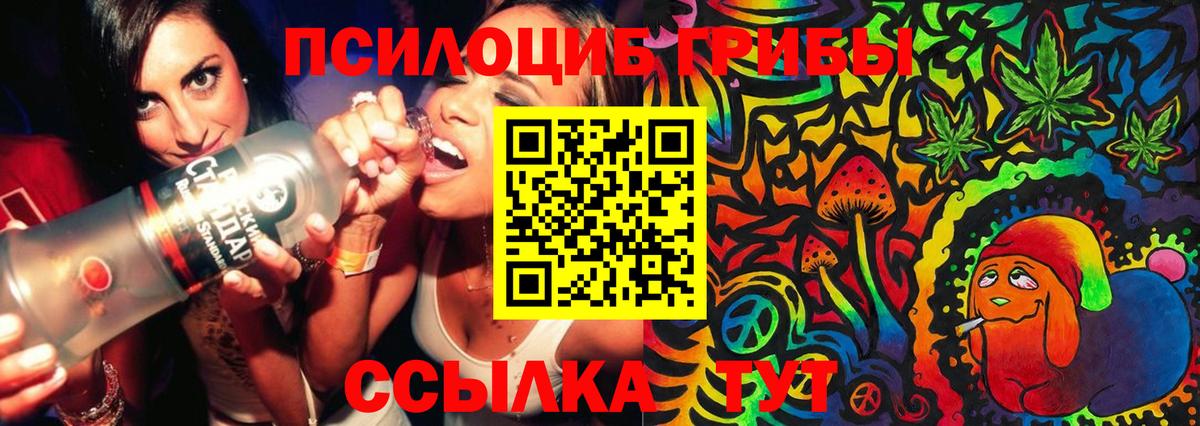 Галлюциногенные грибы Magic Shrooms Котовск